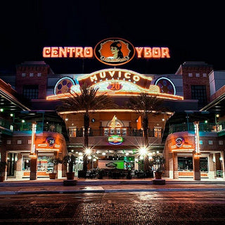 Ten Unique Things To Do in Tampa