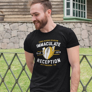 Remembering Pittsburgh's 'Immaculate Reception' 50 Years Later