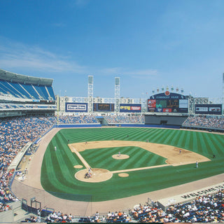 Vintage Stadium and Arenas