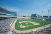 Vintage Stadium and Arenas