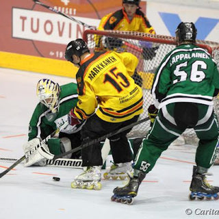 A Brief History of Professional Roller Hockey in North America