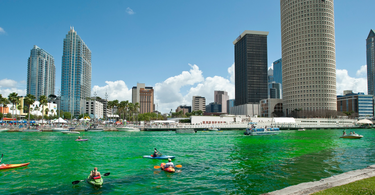 Tampa Florida St. Patricks Day