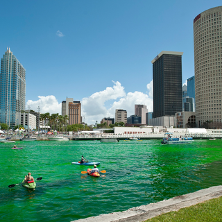 Tampa Florida St. Patricks Day