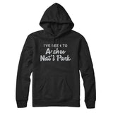 I've Been To Arches National Park Hoodie-Allegiant Goods Co. Vintage Sports Apparel