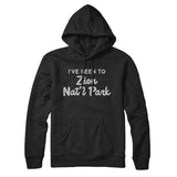 I've Been To Zion National Park Hoodie-Allegiant Goods Co. Vintage Sports Apparel