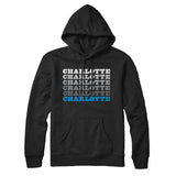 Charlotte Repeat Hoodie-Allegiant Goods Co. Vintage Sports Apparel
