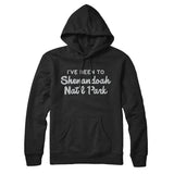 I've Been To Shenandoah National Park Hoodie-Allegiant Goods Co. Vintage Sports Apparel