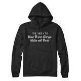 I've Been To New River Gorge National Park Hoodie-Allegiant Goods Co. Vintage Sports Apparel
