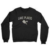 Lake Placid Pickleball Midweight French Terry Crewneck Sweatshirt-Black-Allegiant Goods Co. Vintage Sports Apparel