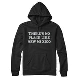 There's No Place Like New Mexico Hoodie-Allegiant Goods Co. Vintage Sports Apparel