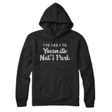 I've Been To Yosemite National Park Hoodie-Allegiant Goods Co. Vintage Sports Apparel