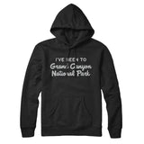 I've Been To Grand Canyon National Park Hoodie-Allegiant Goods Co. Vintage Sports Apparel