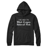 I've Been To Black Canyon National Park Hoodie-Allegiant Goods Co. Vintage Sports Apparel
