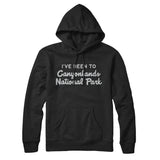 I've Been To Canyonlands National Park Hoodie-Allegiant Goods Co. Vintage Sports Apparel