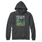 Central Park Hoodie-Allegiant Goods Co. Vintage Sports Apparel