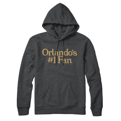 Orlando's Number 1 Fan Hoodie-Charcoal Heather-Allegiant Goods Co. Vintage Sports Apparel