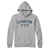 Lexington Cycling in Heather Grey Color