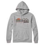 Terlingua Mountain Sunset Hoodie-Heather Grey-Allegiant Goods Co. Vintage Sports Apparel