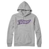 Sacramento Pennant Hoodie-Allegiant Goods Co. Vintage Sports Apparel