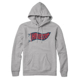 Houston Pennant Hoodie-Allegiant Goods Co. Vintage Sports Apparel