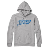 Tampa Bay Pennant Hoodie-Allegiant Goods Co. Vintage Sports Apparel
