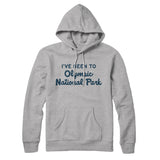 I've Been To Olympic National Park Hoodie-Allegiant Goods Co. Vintage Sports Apparel