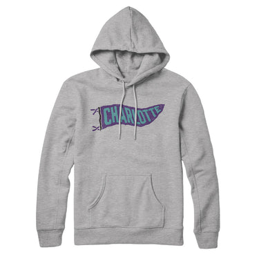 Charlotte Pennant Hoodie-Allegiant Goods Co. Vintage Sports Apparel