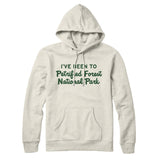I've Been To Petrified Forest National Park Hoodie-Allegiant Goods Co. Vintage Sports Apparel