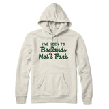 I've Been To Badlands National Park Hoodie-Allegiant Goods Co. Vintage Sports Apparel