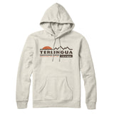 Terlingua Mountain Sunset Hoodie-Heather Oatmeal-Allegiant Goods Co. Vintage Sports Apparel