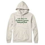 I've Been To Carlsbad Caverns National Park Hoodie-Allegiant Goods Co. Vintage Sports Apparel