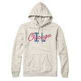 Chicago Illinois Overprinted Hoodie-Allegiant Goods Co. Vintage Sports Apparel