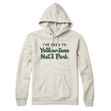I've Been To Yellowstone National Park Hoodie-Allegiant Goods Co. Vintage Sports Apparel