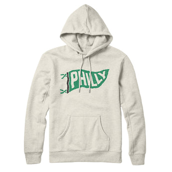 Philly Pennant Hoodie-Allegiant Goods Co. Vintage Sports Apparel
