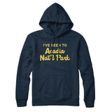 I've Been To Acadia National Park Hoodie-Allegiant Goods Co. Vintage Sports Apparel