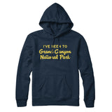I've Been To Grand Canyon National Park Hoodie-Allegiant Goods Co. Vintage Sports Apparel