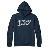 Toronto Pennant Hoodie-Allegiant Goods Co. Vintage Sports Apparel