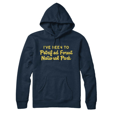 I've Been To Petrified Forest National Park Hoodie-Allegiant Goods Co. Vintage Sports Apparel