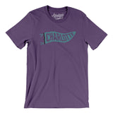 Charlotte Pennant Men/Unisex T-Shirt-Allegiant Goods Co. Vintage Sports Apparel