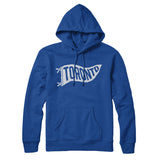 Toronto Pennant Hoodie-Allegiant Goods Co. Vintage Sports Apparel