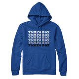 Tampa Bay Repeat Hoodie-Allegiant Goods Co. Vintage Sports Apparel