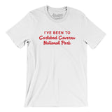 I've Been To Carlsbad Caverns National Park Men/Unisex T-Shirt-Allegiant Goods Co. Vintage Sports Apparel
