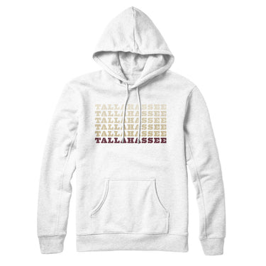 Tallahassee Repeat Hoodie-Allegiant Goods Co. Vintage Sports Apparel