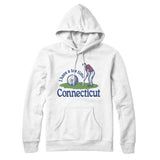 I Have A Tee Time In Connecticut Hoodie-White-Allegiant Goods Co. Vintage Sports Apparel