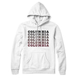 Columbia Repeat Hoodie-Allegiant Goods Co. Vintage Sports Apparel