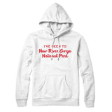 I've Been To New River Gorge National Park Hoodie-Allegiant Goods Co. Vintage Sports Apparel