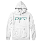 Actually It's Pronounced Lanai Hoodie-White-Allegiant Goods Co. Vintage Sports Apparel