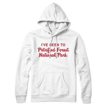 I've Been To Petrified Forest National Park Hoodie-Allegiant Goods Co. Vintage Sports Apparel