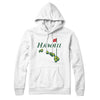 Hawaii Golf Hoodie-White-Allegiant Goods Co. Vintage Sports Apparel