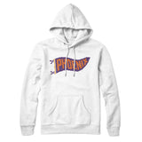 Phoenix Pennant Hoodie-Allegiant Goods Co. Vintage Sports Apparel